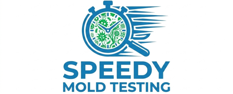 Professional mold testing and air quality services in Hayward and the East Bay for residential and commercial properties. 249 W Jackson Street Ste 522, Hayward Ca 94544. 510-696-3434