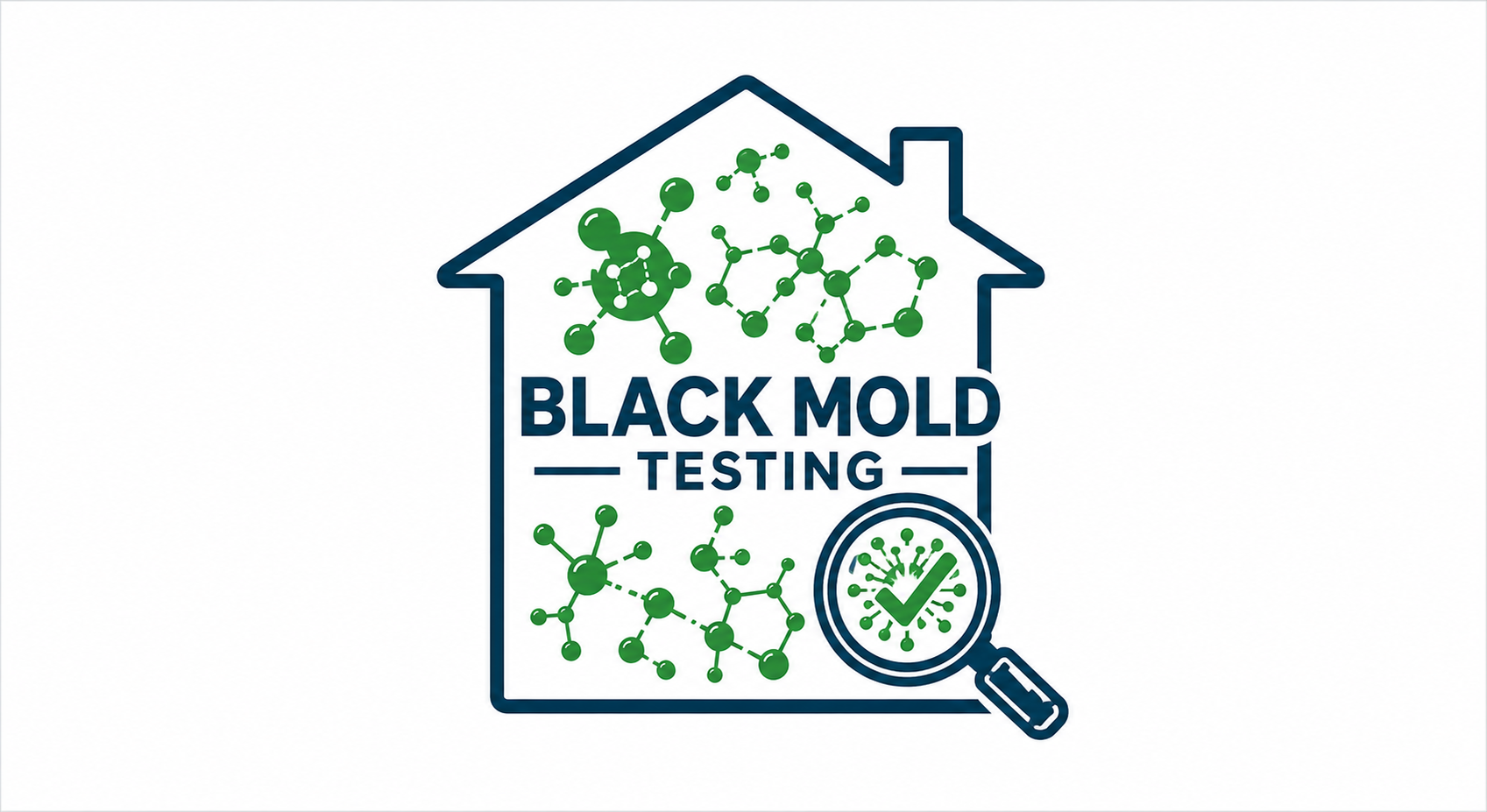 Black mold testing in Hayward CA